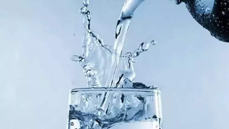 Herkes bayıla bayıla yiyor ama kraliyet ailesinde yasaklı! Mutfaktan içeri sokulmuyor - Resim: 9