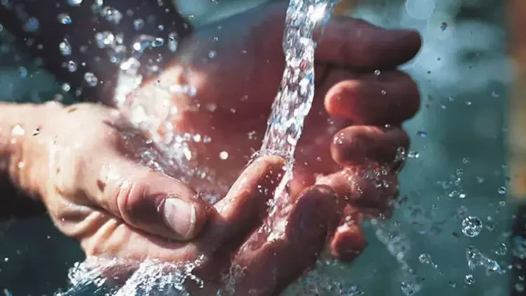 Herkes bayıla bayıla yiyor ama kraliyet ailesinde yasaklı! Mutfaktan içeri sokulmuyor - Resim: 8