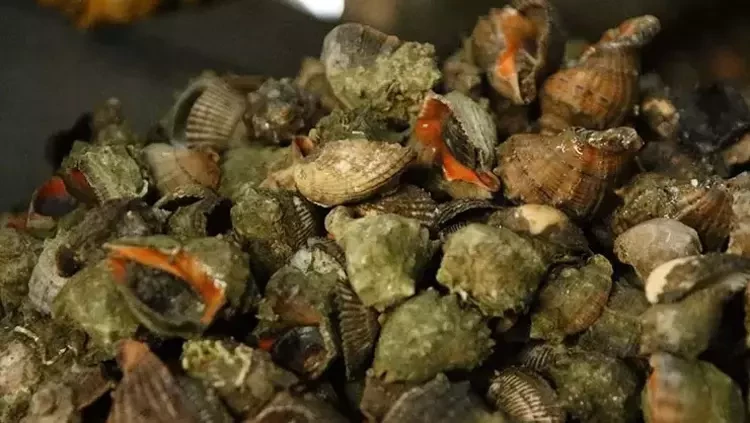 Herkes bayıla bayıla yiyor ama kraliyet ailesinde yasaklı! Mutfaktan içeri sokulmuyor - Resim: 6