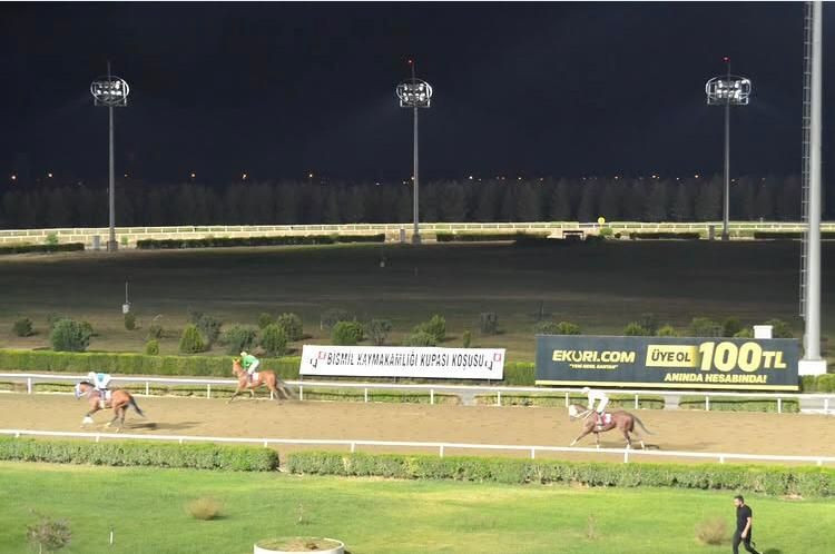 Bismil'de safkanlar kaymakamlık için koştu! Başsavcı Yaşar'dan kazanan jokeye çiçek - Resim: 1