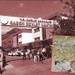 Bilirkişi heyetinin aracı şarampole yuvarlandı! 5 kişi hayatını kaybetti
