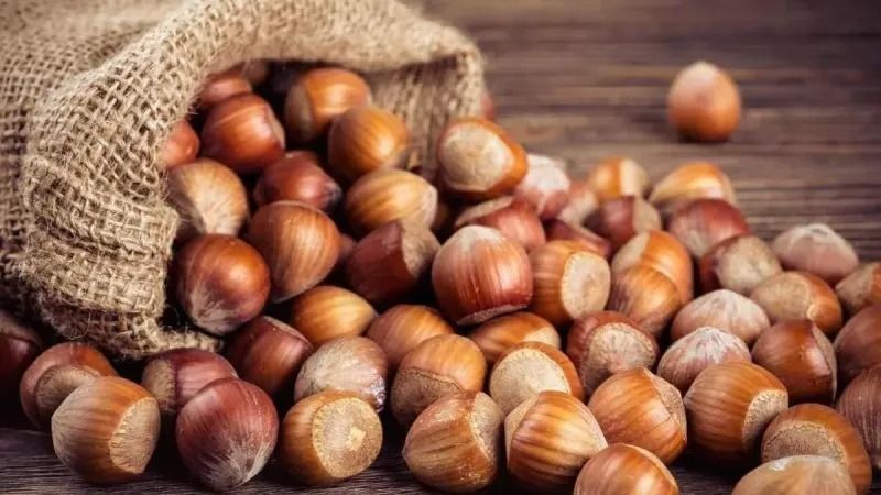FINDIK FİYATLARI DEPAR ATTI! 8 Mayıs 2025 Levant-Giresun fındık fiyatları son durum - Resim: 2