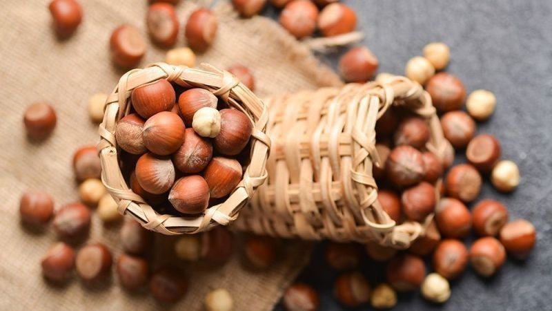 FINDIK FİYATLARI DEPAR ATTI! 8 Mayıs 2025 Levant-Giresun fındık fiyatları son durum - Resim: 5