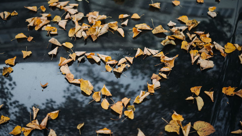 Gerçek aşkı ne zaman bulacaksınız? Araştırmalar hep o yaşı işaret etti. İşte merak edilen sorunun yanıtı. - Resim: 5