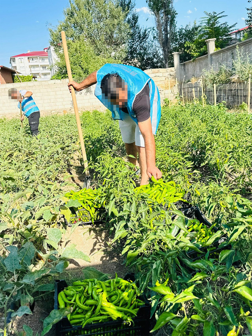 Iğdır Cumhuriyet Başsavcılığı'ndan örnek proje! 'Yeşeren Umutlar' ihtiyaç sahiplerine ulaştı - Resim: 2