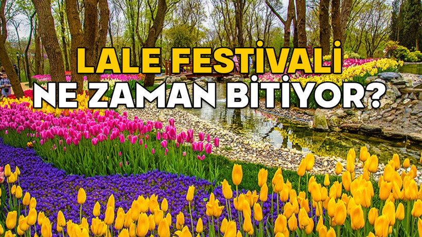 İSTANBUL LALE FESTİVALİ NE ZAMAN BİTİYOR 2025? (Emirgan Korusu, Gülhane Parkı, Yıldız Korusu) Lale festivali nerelerde var?