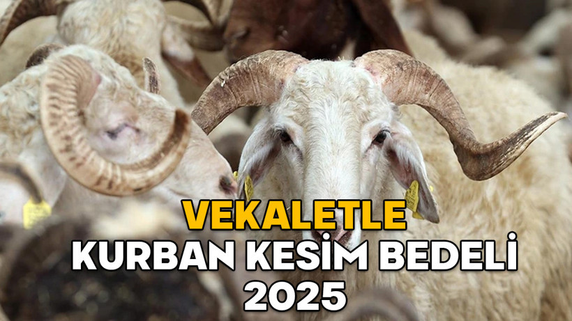 VEKALETLE KURBAN KESİM BEDELİ 2025 || Yurt içi ve yurt dışı vekaleten kurban kesimi bedeli ne kadar?