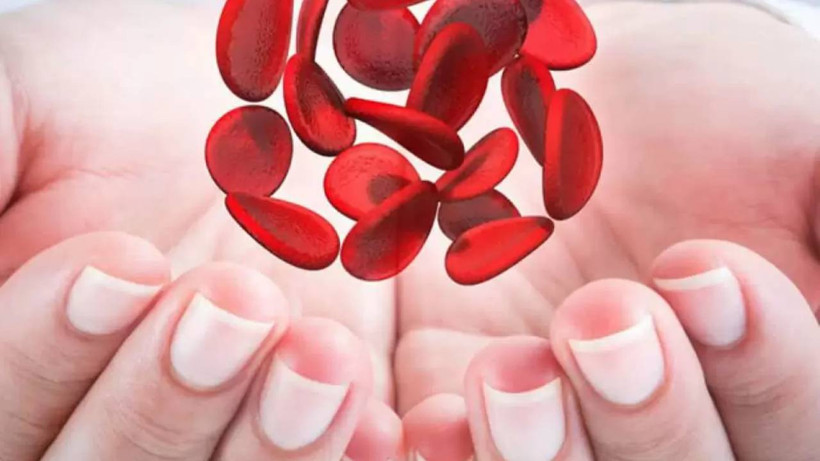 Demir depolarınızı hızla doldurmak için bu besinleri tüketin! Kansızlığa çözüm olacak 2 sırrı keşfedin!