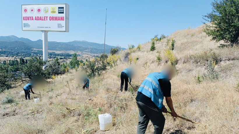 Konya'da yükümlüler Adalet Ormanı'nın bakımını yaptı! Doğa sevgisi aşılandı