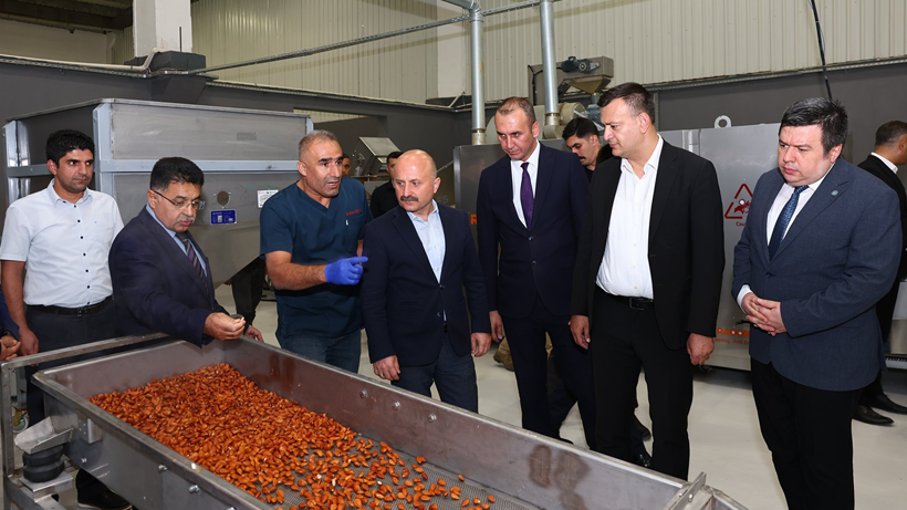 Adıyaman Valisi ve Başsavcı, Tarım Mükemmeliyet Merkezi’nde incelemelerde bulundu