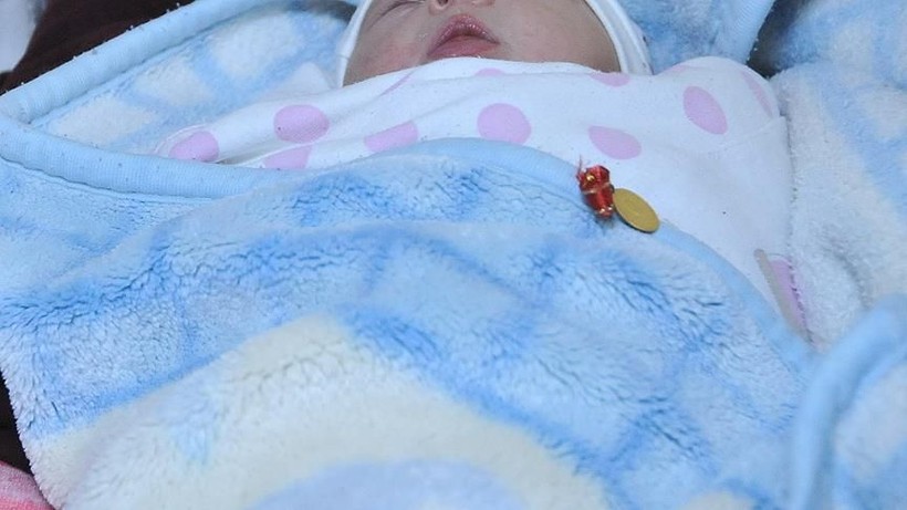 Anneler Günü hediyesi devletten! İlk ödemeler hesaplara yatıyor! Anneler Günü hediyesi devletten! İlk ödemeler hesaplara yatıyor! - Resim: 2