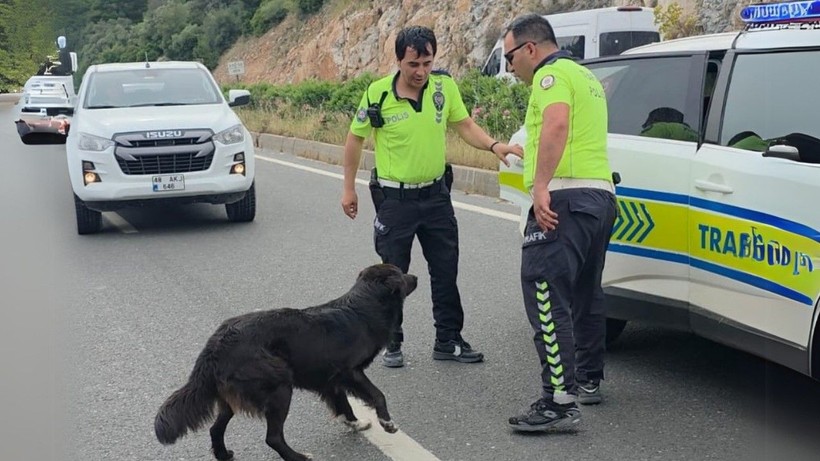 Trafik kazasında insanlık dersi! Polis ekiplerinin merhameti takdir topladı - Resim: 3