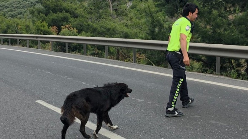 Trafik kazasında insanlık dersi! Polis ekiplerinin merhameti takdir topladı - Resim: 4