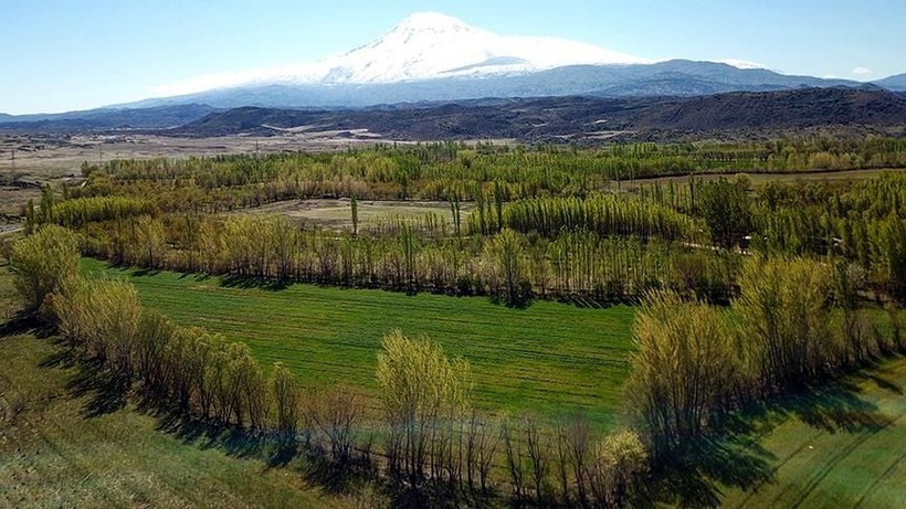 5 MİLYON KİŞİYE MÜJDE! Bakan Kurum’un tapu açıklaması heyecanlandırdı. Çalışmalar yıl sonuna kadar tamamlanacak - Resim: 5