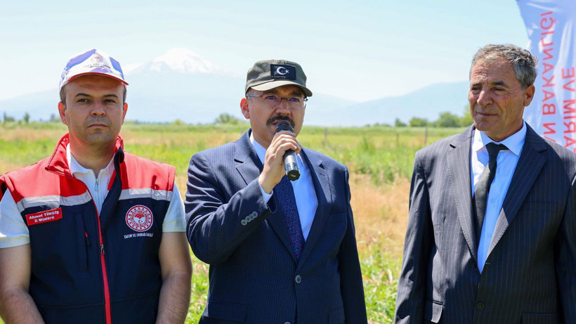 Vali Turan ve Başsavcı Dede, Iğdır'da karpuz hasadını başlattı - Resim: 2