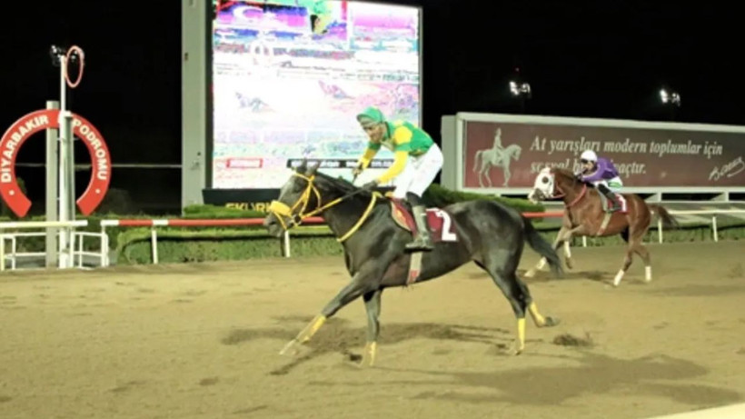 Bismil'de safkanlar kaymakamlık için koştu! Başsavcı Yaşar'dan kazanan jokeye çiçek - Resim: 4