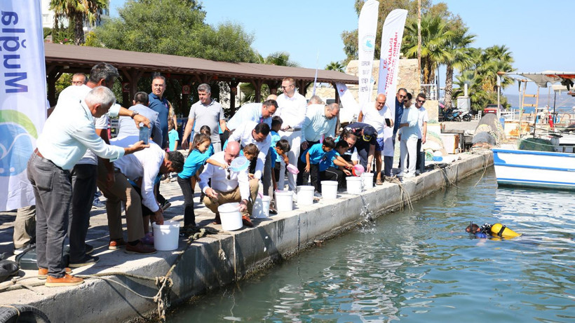 Muğla'da balık popülasyonuna destek! Başsavcı ve Komisyon Başkanı bizzat doğaya saldı - Resim: 3