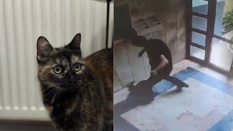 Cezve'nin katili hakkında mahkemeden flaş karar! Hiçbir indirim uygulanmadı - Resim: 1