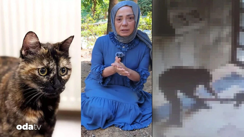 Cezve'nin katili hakkında mahkemeden flaş karar! Hiçbir indirim uygulanmadı - Resim: 5