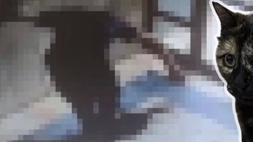 Cezve'nin katili hakkında mahkemeden flaş karar! Hiçbir indirim uygulanmadı - Resim: 2