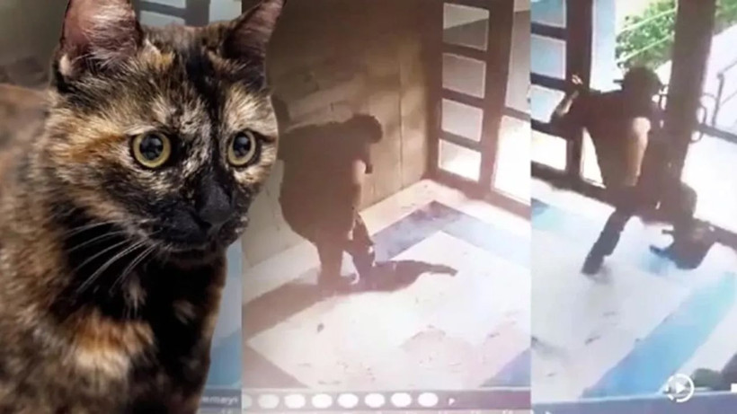 Cezve'nin katili hakkında mahkemeden flaş karar! Hiçbir indirim uygulanmadı - Resim: 4