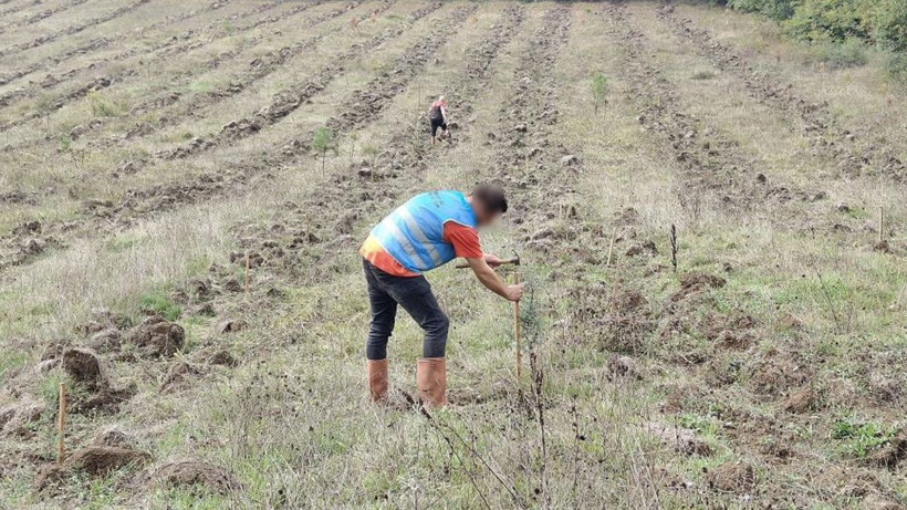 Düzce'de örnek proje hayata geçirildi! Yanan ormanlar "adalete" teslim - Resim: 4