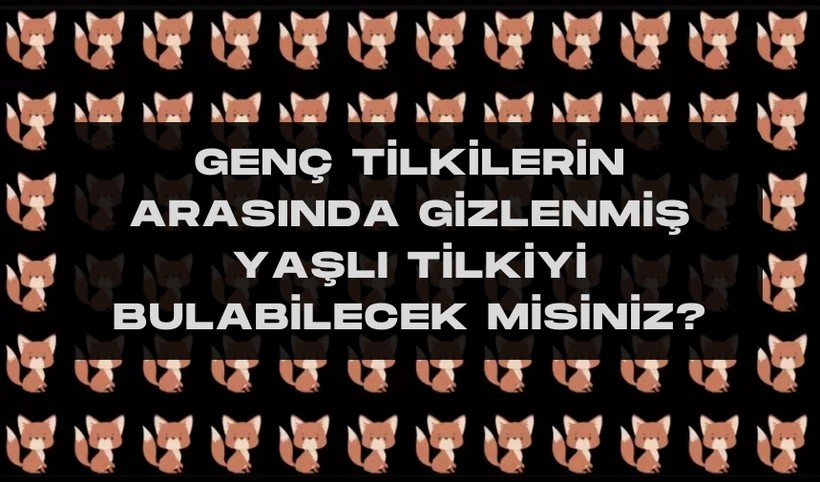 Sadece kartal gözleri olanlar 20 saniye içinde çözebiliyor! Genç tilkilerin arasındaki yaşlı tilkiyi bulabilecek misin? - Resim: 1