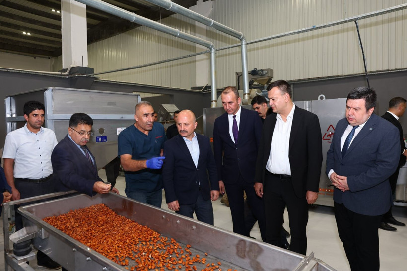 Adıyaman Valisi ve Başsavcı, Tarım Mükemmeliyet Merkezi’nde incelemelerde bulundu - Resim: 2