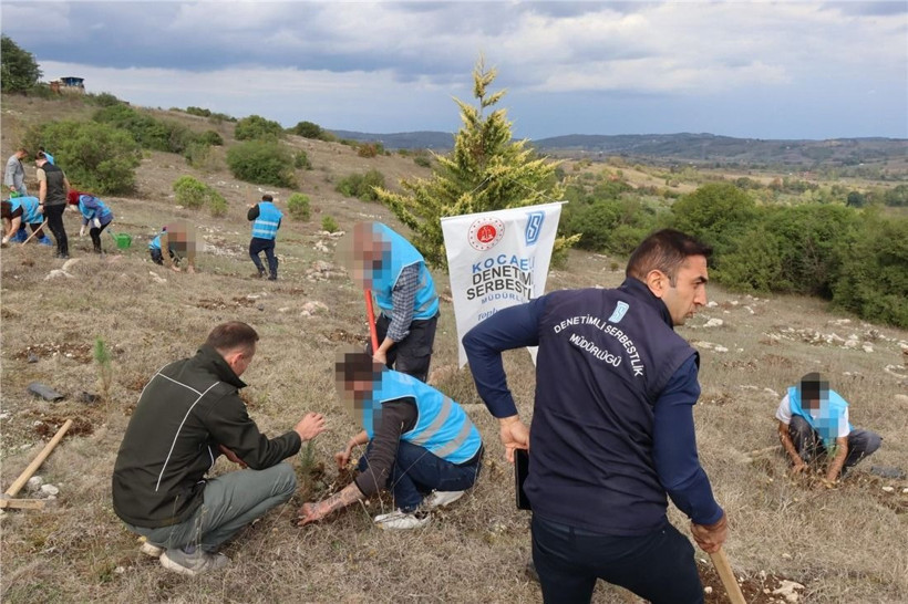 Kocaeli Cumhuriyet Başsavcılığı öncülünde Filistin için fidan dikildi - Resim: 7