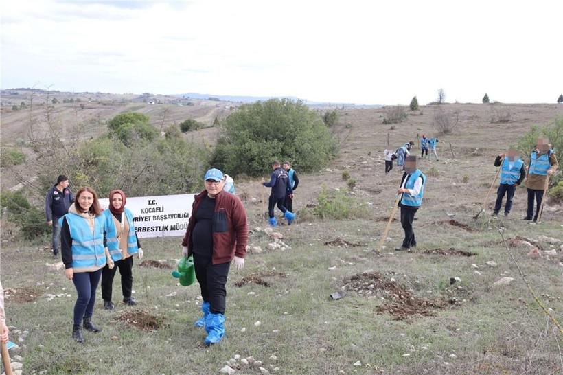 Kocaeli Cumhuriyet Başsavcılığı öncülünde Filistin için fidan dikildi - Resim: 9