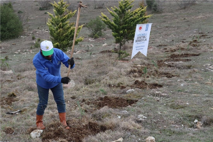 Kocaeli Cumhuriyet Başsavcılığı öncülünde Filistin için fidan dikildi - Resim: 8