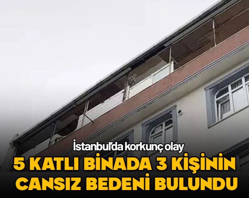 3 kişinin cansız bedeni bulundu