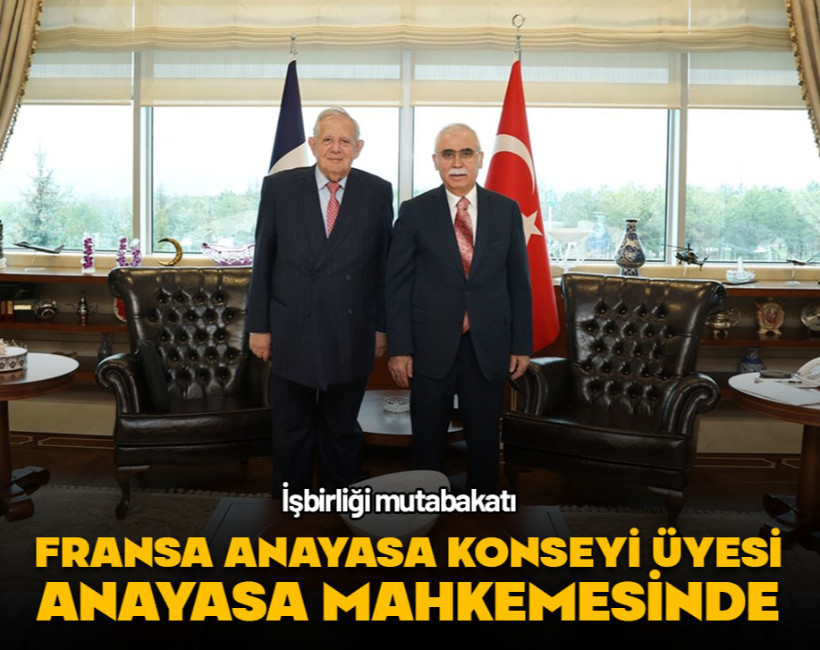 Fransa Anayasa Konseyi Üyesi, Anayasa Mahkemesinde