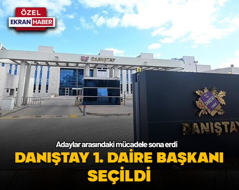 Danıştay 1. Daire Başkanını seçti