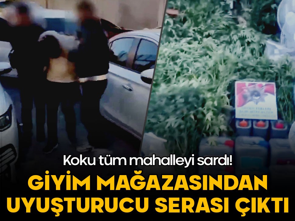 Koku tüm mahalleyi sardı! Giyim mağazası uyuşturucu serası çıktı